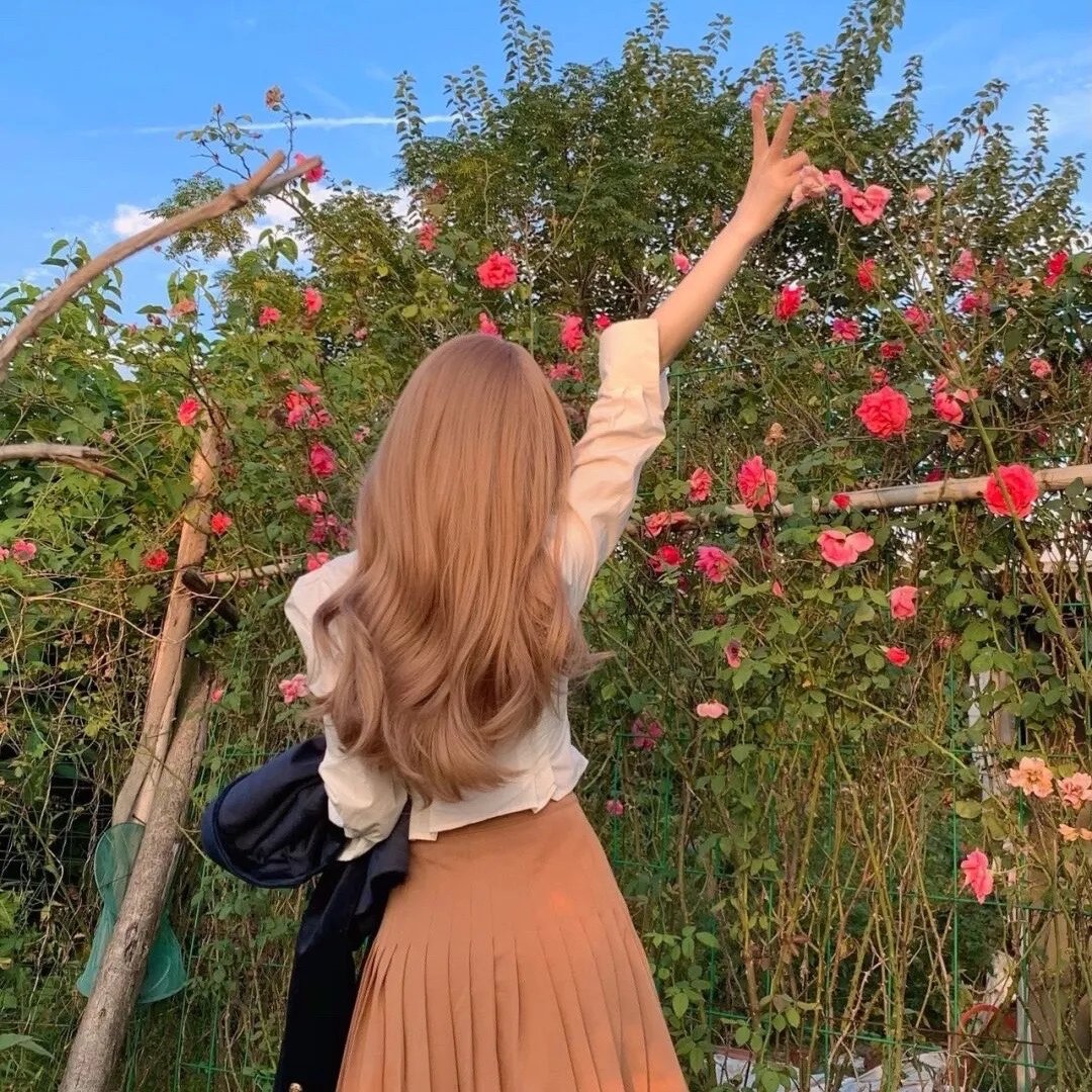 桃花灿烂