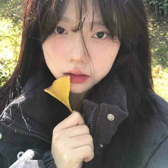 自由机器